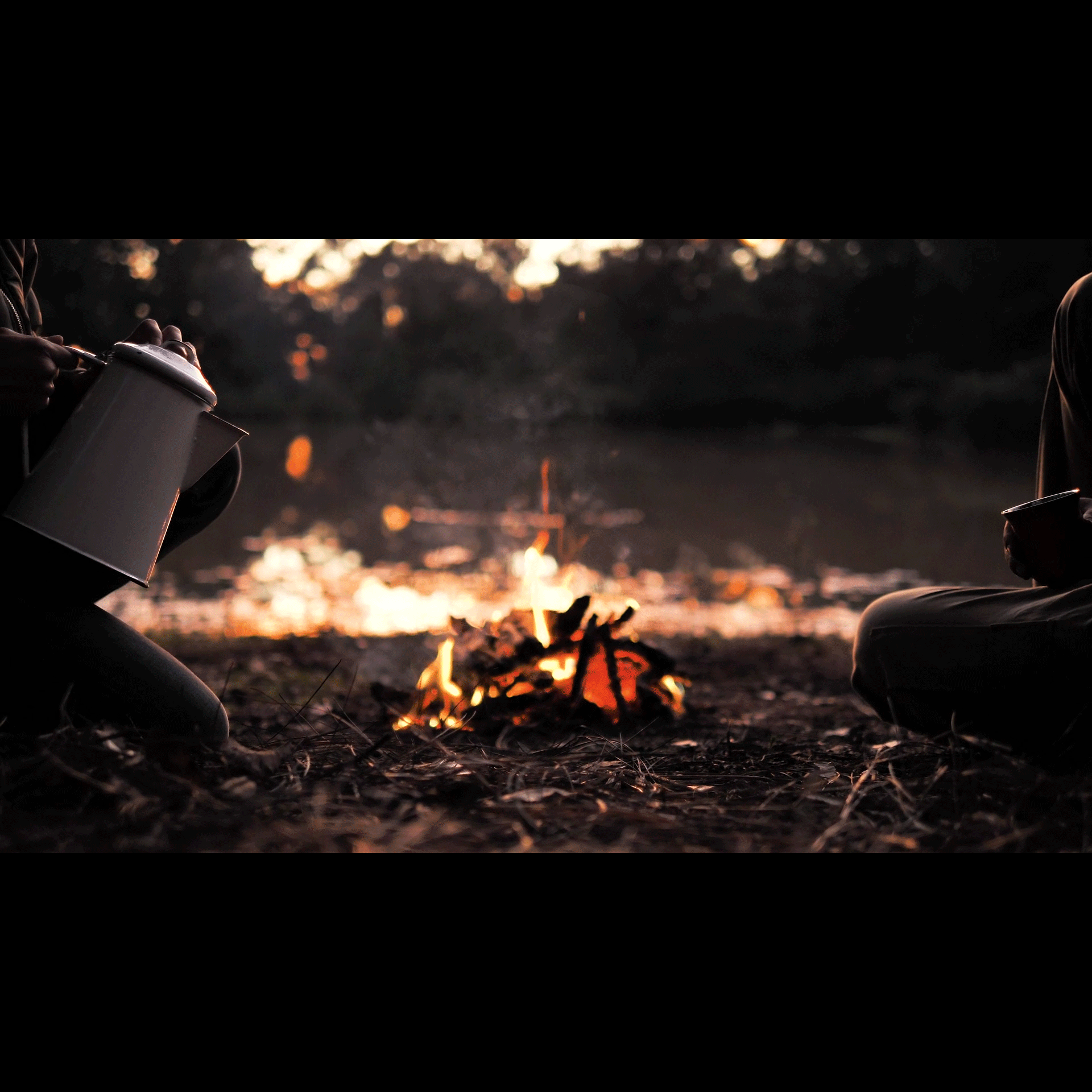 A Cinemagraph of a campfire.
